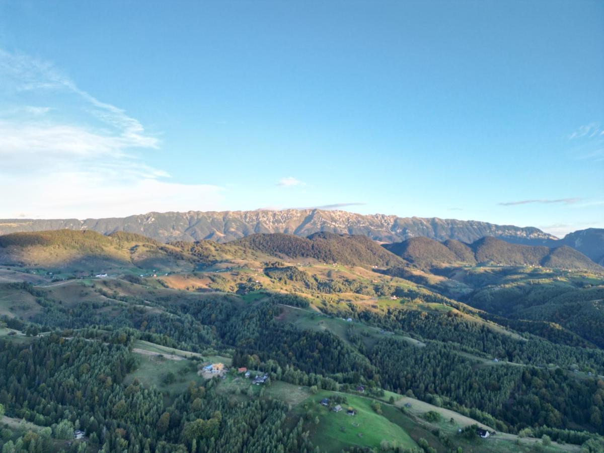 Vila Prater House Mountain View Moieciu de Jos Exteriér fotografie