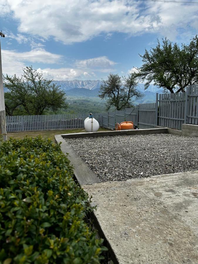 Vila Prater House Mountain View Moieciu de Jos Exteriér fotografie